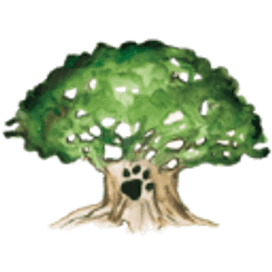 Raintree Animal Hospital Timnath - Logo
