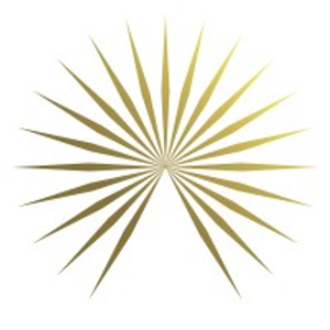Arteriors Dallas Showroom