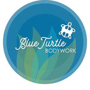 Blue Turtle Bodywork
