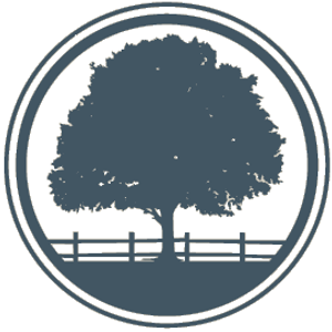Manzi Real Estate