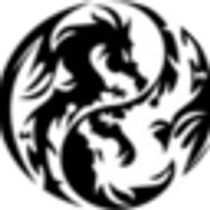 Twin Dragons Taekwondo - Martial arts school in Chesterfield