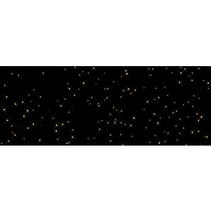 First Class Entertainment - Logo