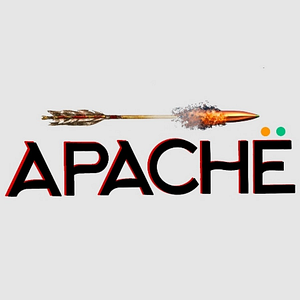 Apache Arms - Gun shop in Houston