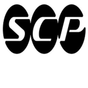 ShowCarPerfection | Paint Correction | Clear Bra | Ceramic Coating | Window Tint | Small Repairs