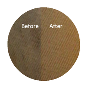 Steamex Carpet Cleaning