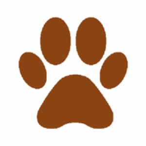Weymouth Dog Shop - Logo