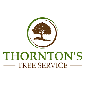 Thornton's Tree Services Macon, GA