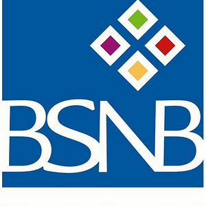 BSNB Corporate Branch - Logo