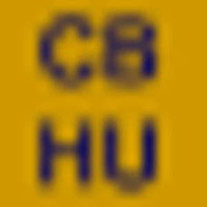 Coldwell Banker Homes Unlimited - Logo