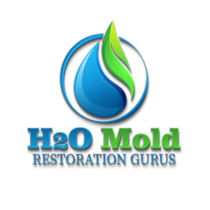H2O Mold Restoration Gurus of Rancho Santa Margarita - Logo