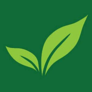 Enviroscapes - Logo