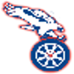 Team Power Tires - Logo