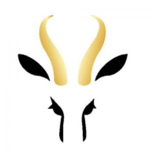 Antelope Lashes - Logo