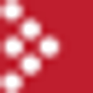 Southside Realtors - Logo