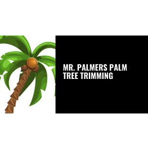 Palmers Palm Tree Trimming - Tree service in St Cloud