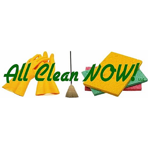 All Clean Now - Logo