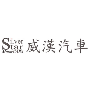 WIHA SilverStar (Auto Repair)