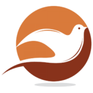 Lark Chiropractic - Logo