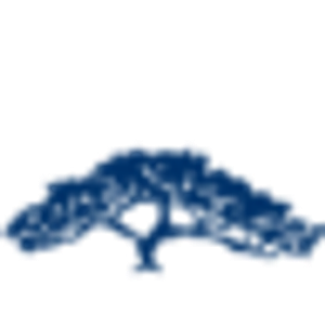 Baker-Stevens-Parramore Funeral Home - Logo
