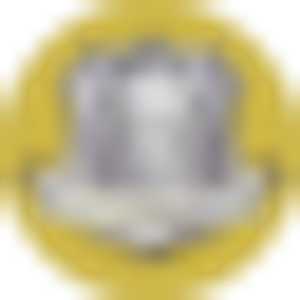 Vital Security and Investigations, LLC - Logo