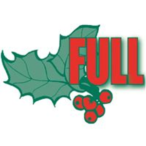 Full Service Glass, Inc. - Logo