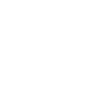 Zager Guitars - Logo