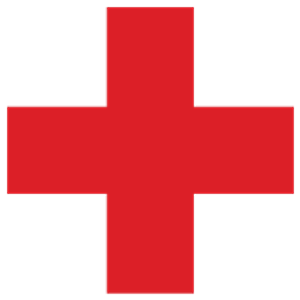 The Roof Medic - Logo