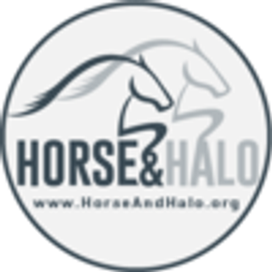 Horse&Halo - Horse transport supplier in Greeley