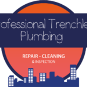 Professional Trenchless Plumbing - Logo