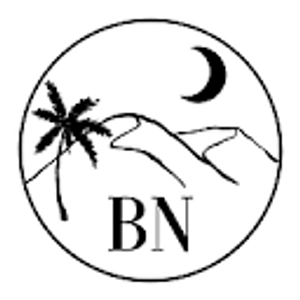 BLUE NEGEV Handyman - Logo