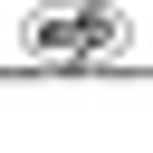 Eugene Forest Products Inc - Logo