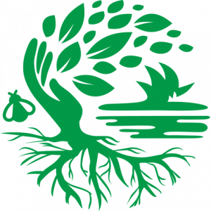 Aspen Tree and Turf, LLC