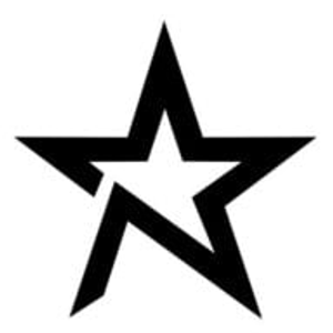 North Starr Group LLC - Logo