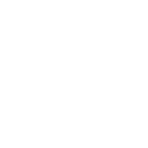 Storm - The Lawn Pro of The Fox Cities LLC - Logo