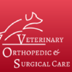 Veterinary Orthopedic and Surgical Care