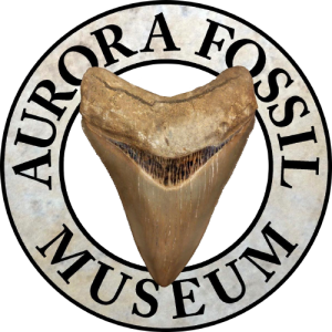 Aurora Fossil Museum - Logo