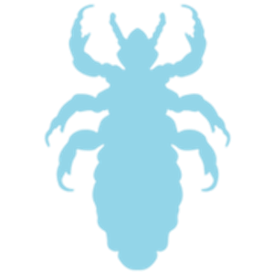 Chicago Lice Removal