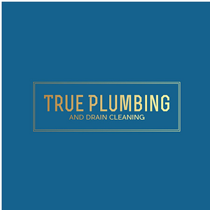 True Plumbing and Drain Cleaning - Logo