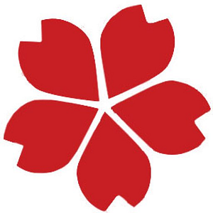Kirei Aesthetics - Medical spa in Kalispell