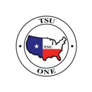 TSU ONE, Inc. - Logo