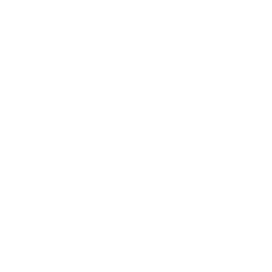 Swedish Auto Service - Auto repair shop in Austin