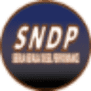 Sierra Nevada Diesel Performance - Logo