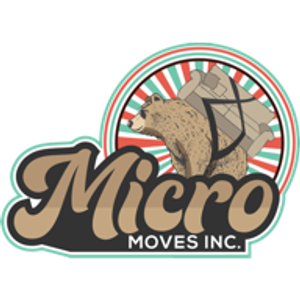 Micro Moves Inc.