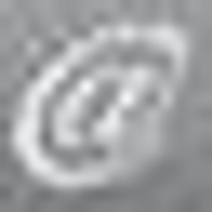 Arlene Chambers Photography - Logo