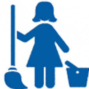 Platinum Maid - Logo