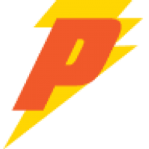 Performance Electric Inc - Logo