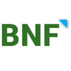 BNF Consulting NJ - Logo