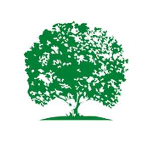 Limitless Tree Service