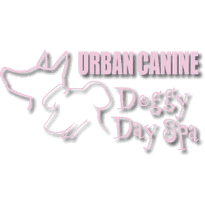 Urban Canine Doggy Day Spa