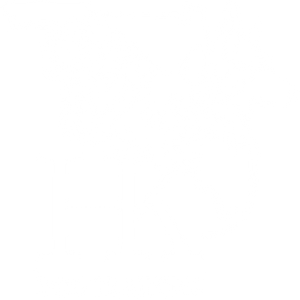 H.K. Dog Training - Logo